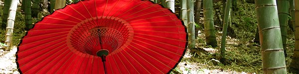 Namelessの衣裳・アトリエの写真