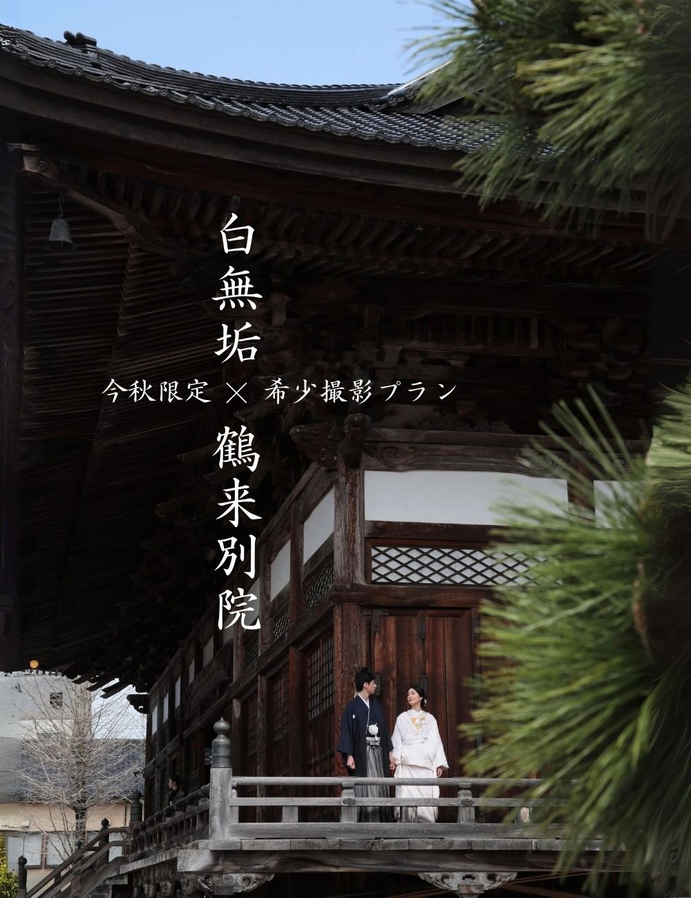 Namelessの衣裳・アトリエの写真