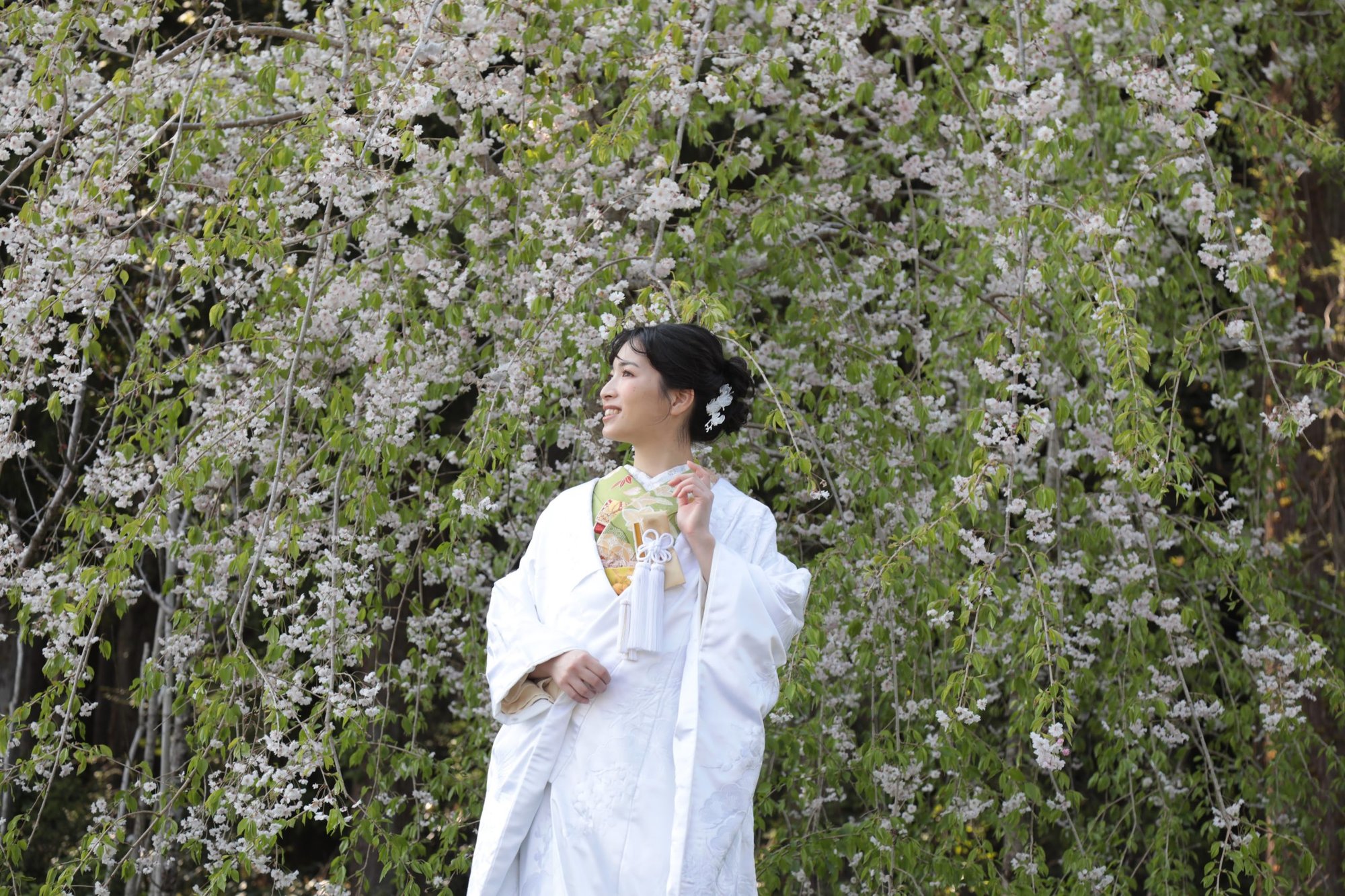 Namelessの花嫁と衣裳 42