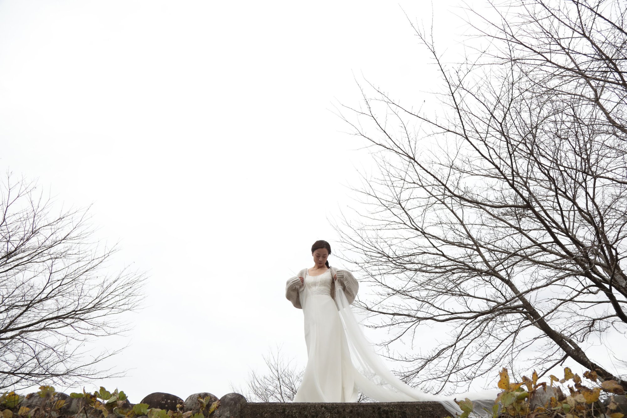 Namelessの花嫁と衣裳 27